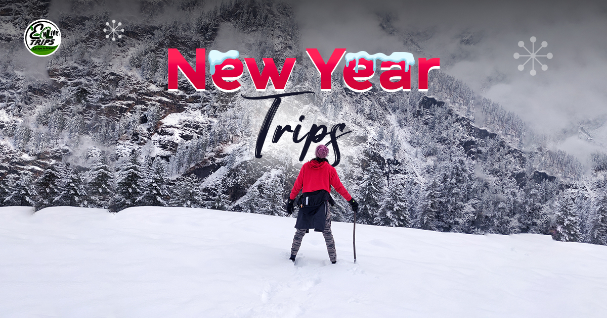 New Year 2026 Travel: Explore India’s Snow & Desert Escapes